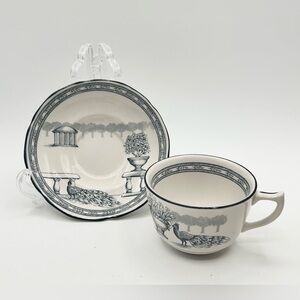 Mason's Georgian Garden Cup Saucer Blue White England Rare Pattern